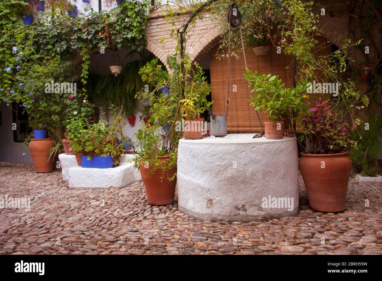 Détail d'un patio andalou typique avec sol en pierre, puits d'eau et décoré avec différents types de plantes et de pots. Cordoue, Andalousie, Espagne. Tr Banque D'Images