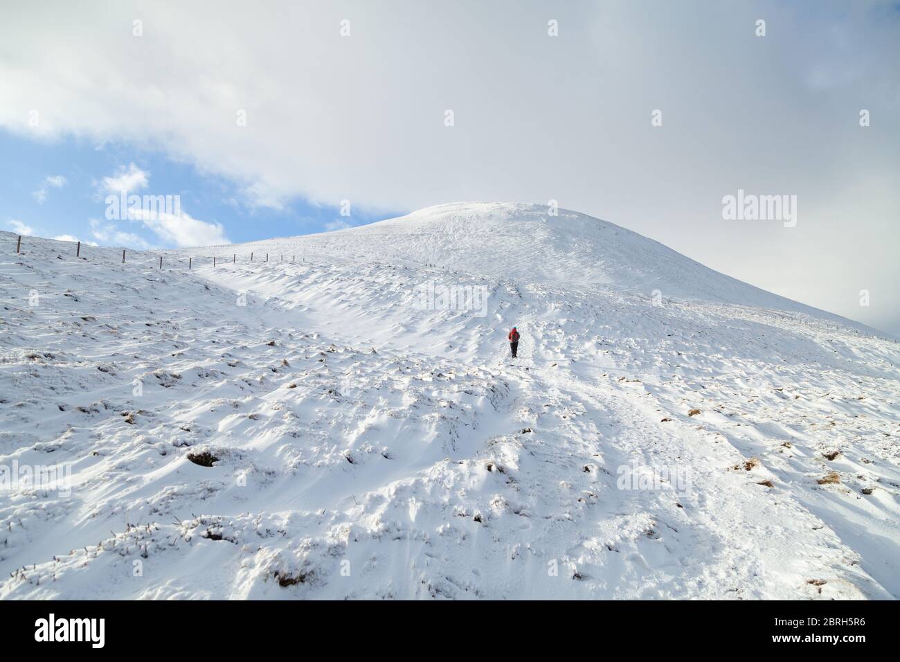 Un marcheur qui se dirige vers East Lomond Hill depuis le village de Falkland, Fife, Écosse Banque D'Images