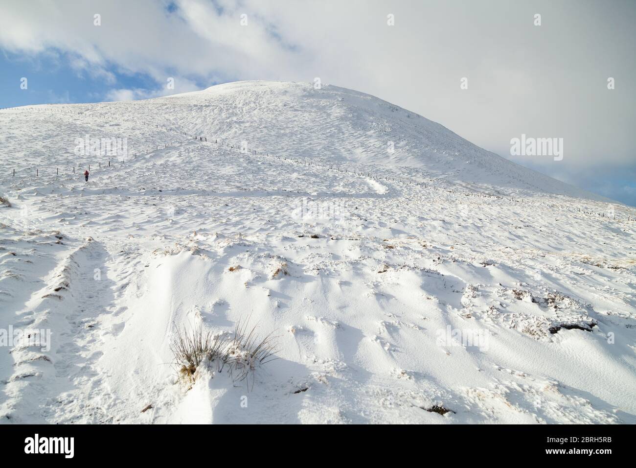 Un marcheur qui se dirige vers East Lomond Hill depuis le village de Falkland, Fife, Écosse Banque D'Images
