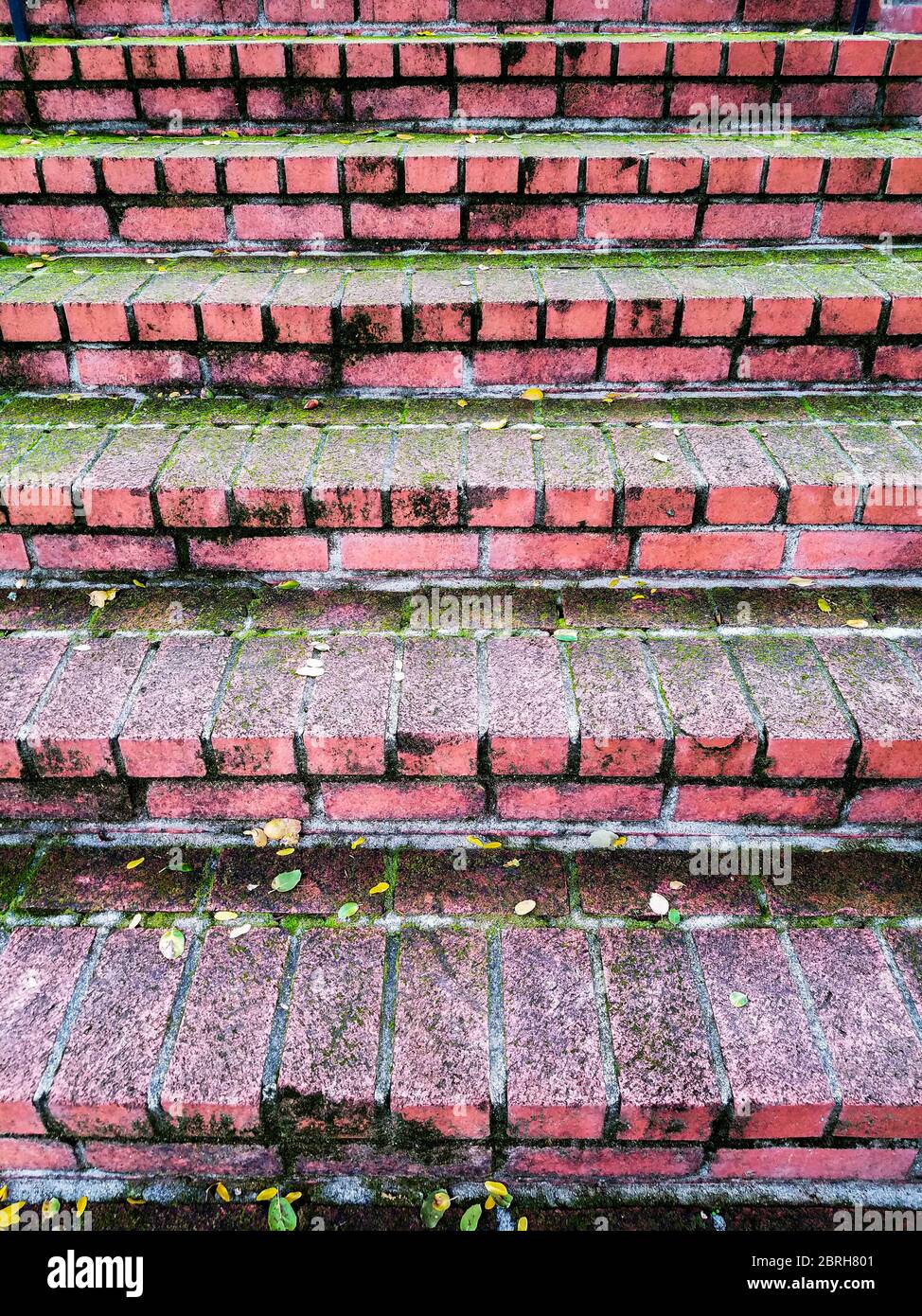 Un escalier en brique rouge avec un beau motif de largeur descendante avec de la mousse verte et des feuilles jaunes Banque D'Images