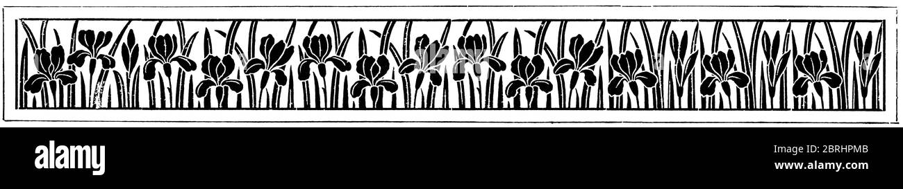 Décoration fleurie abstraite, séparateur de chapitre dans un livre. Illustration du XIXe siècle. Fond blanc. Banque D'Images