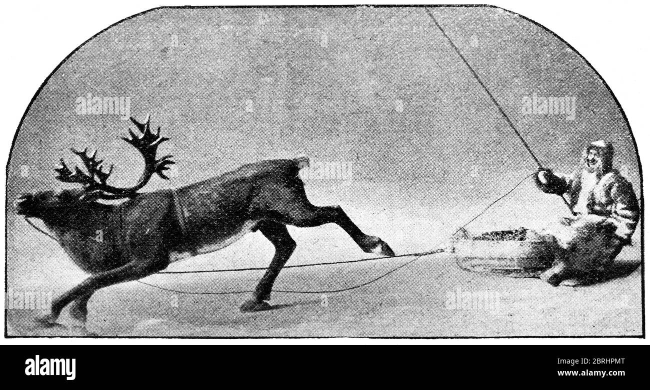 Livraison de courrier de renne en Norvège. Illustration du XIXe siècle. Fond blanc. Banque D'Images