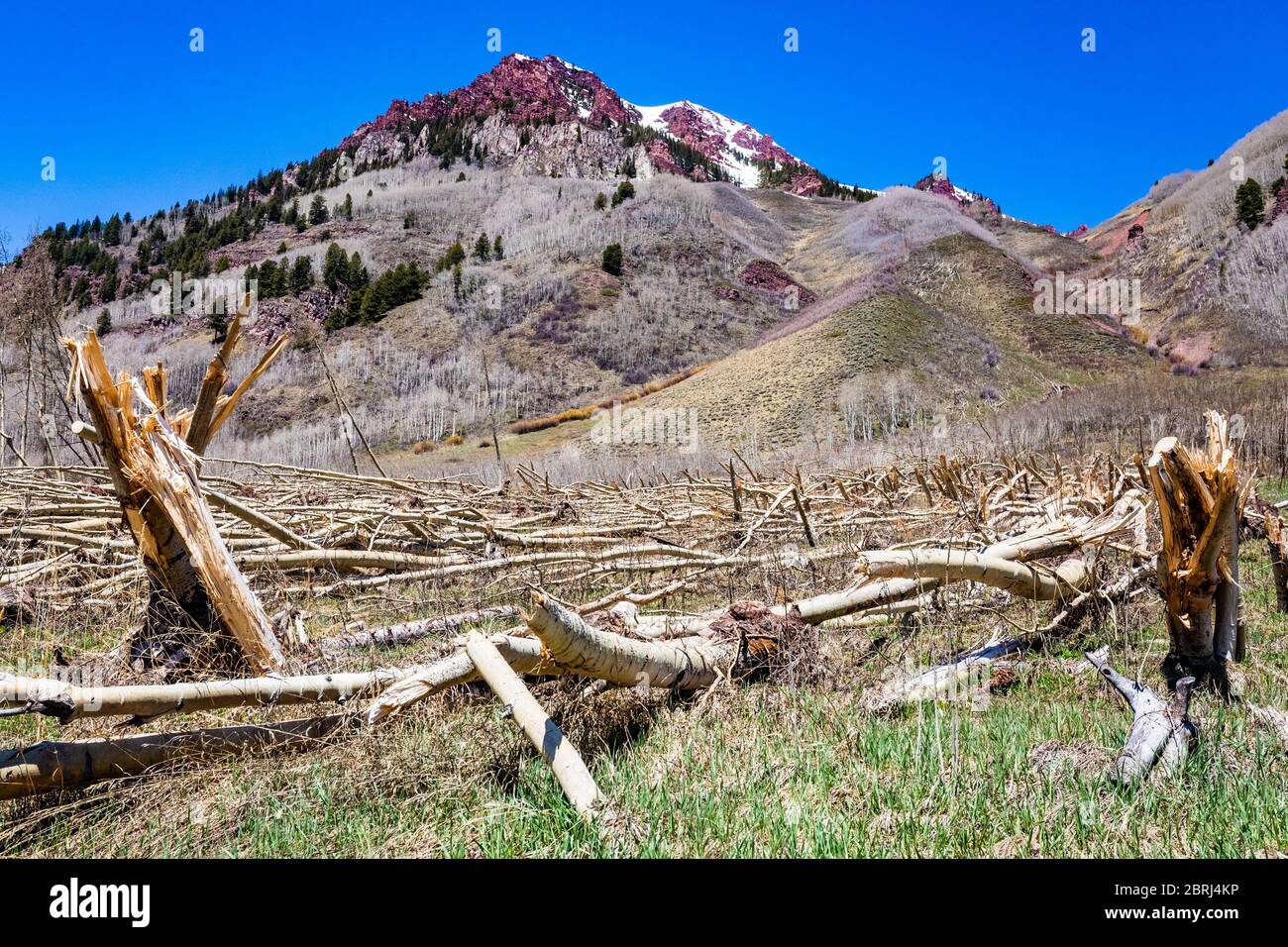 East Maroon Wilderness Portal White River National Forest Colorado Day Banque D'Images