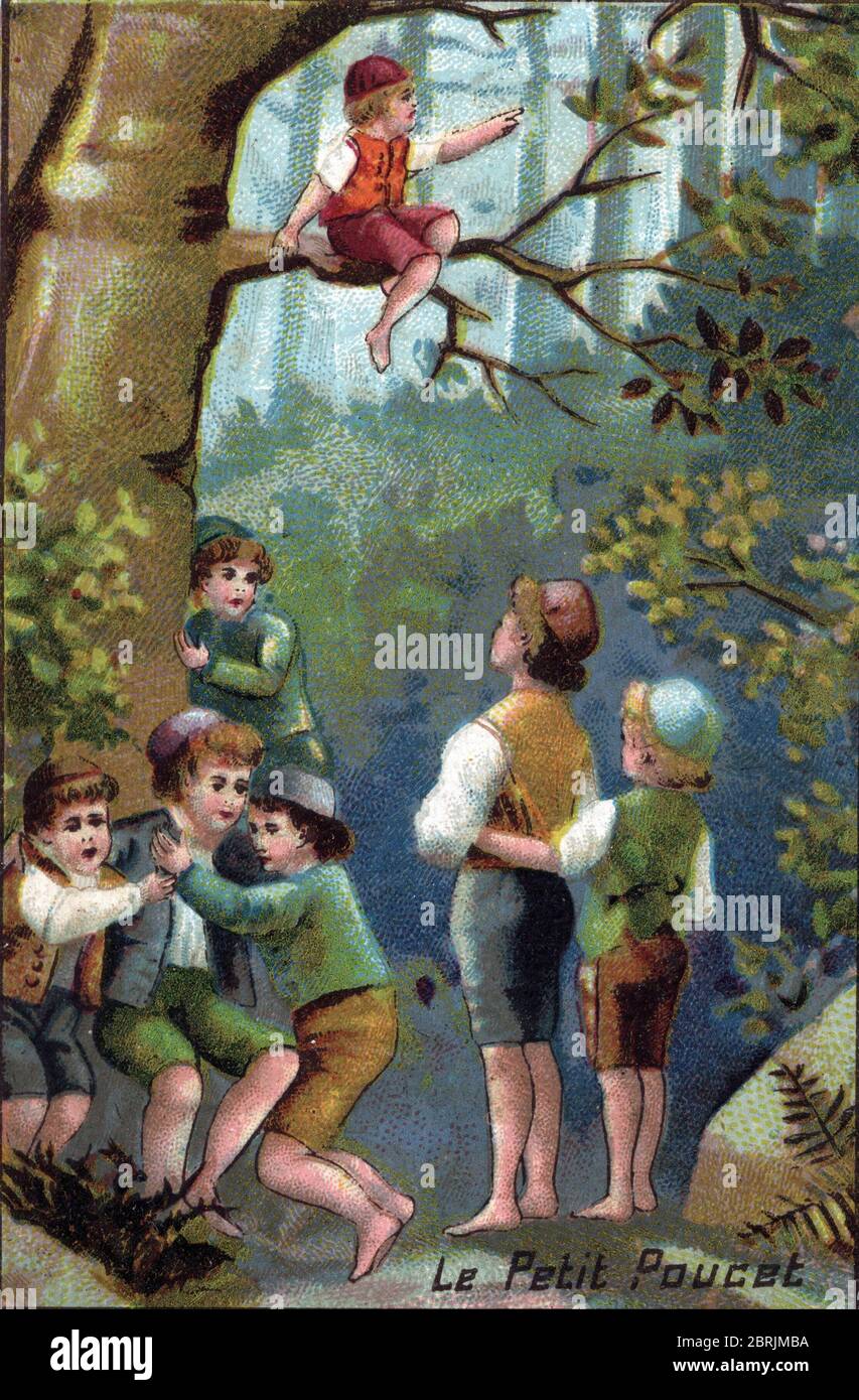« le petit Poucet grimpe sur un arbre et une recherche de son chemin, il apercit une lumière dans la foret » Illustration du conte « le petit Poucet » de Charles Banque D'Images