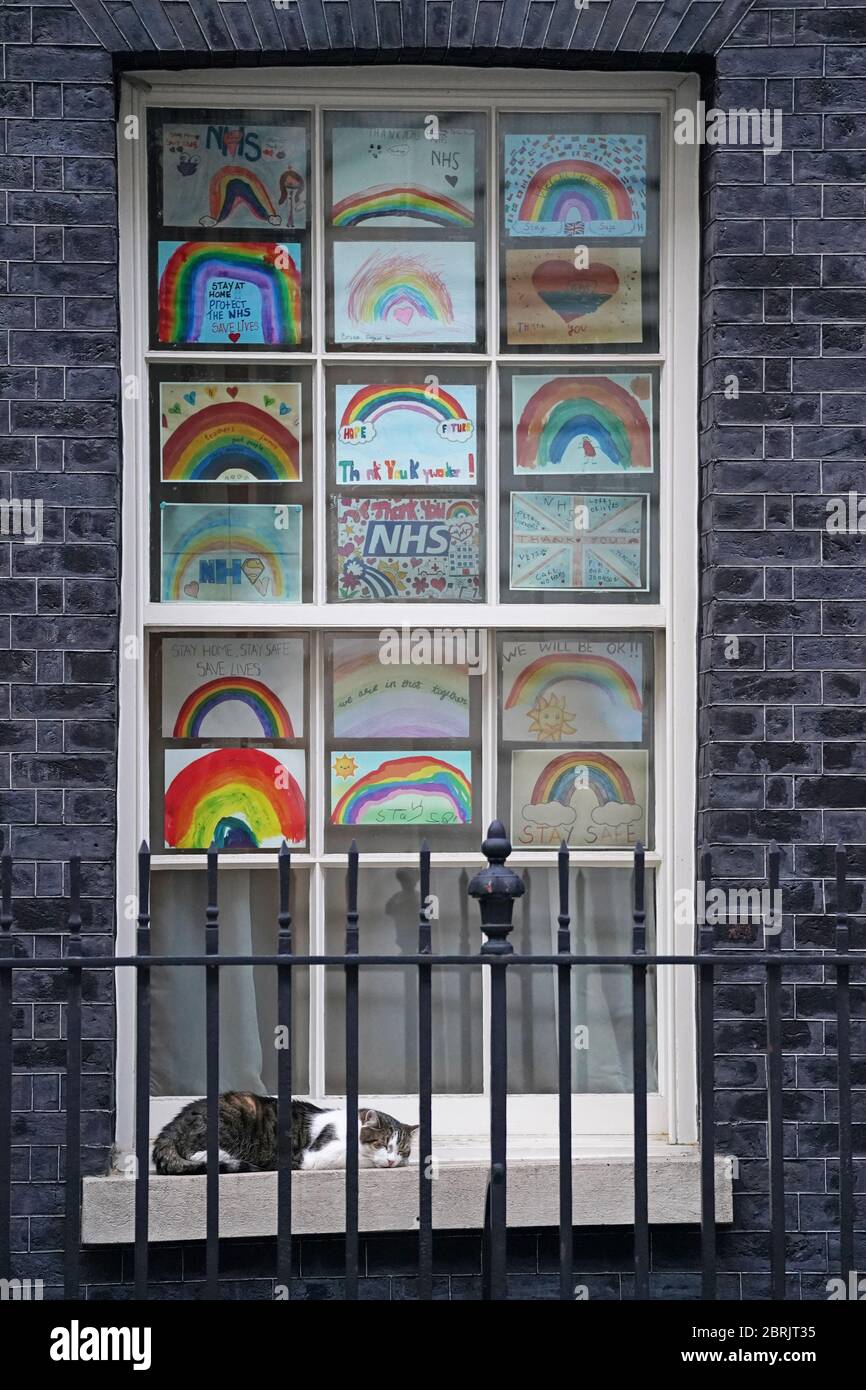 Larry le chat est assis à l'extérieur du 10 Downing Street, Londres, après le Clap de jeudi dans tout le pays pour que les soignants reconnaissent et soutiennent les travailleurs du NHS et les soignants luttant contre la pandémie du coronavirus. Banque D'Images