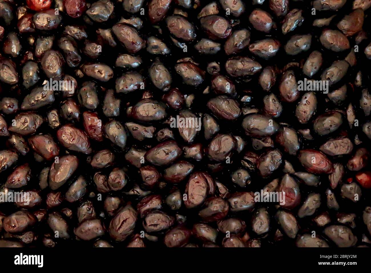 Processus de durcissement des olives noires Kalamata Banque D'Images