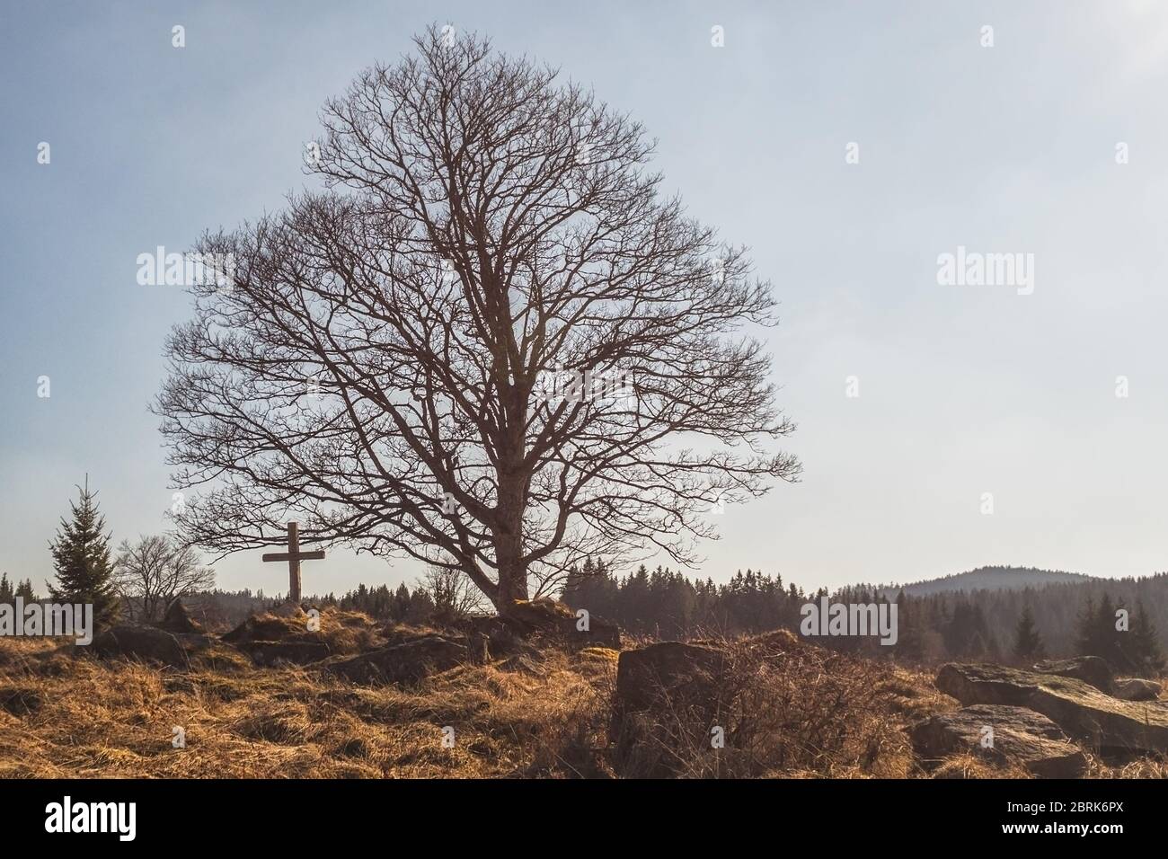 grand vieux arbre et croix en bois sur une colline en pierre, forêts et ciel bleu en arrière-plan Banque D'Images