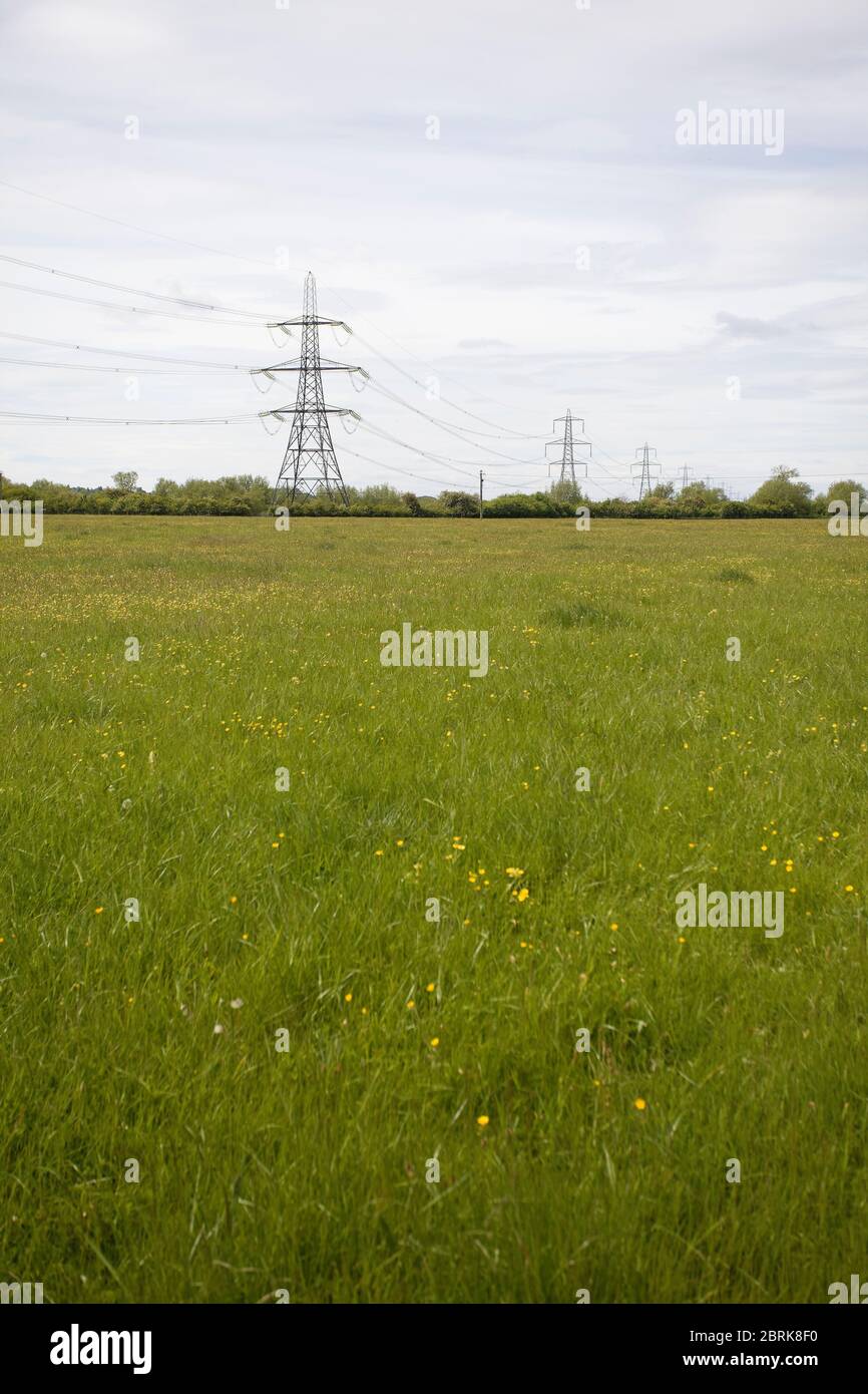 Lignes électriques dans la campagne, royaume-uni Banque D'Images