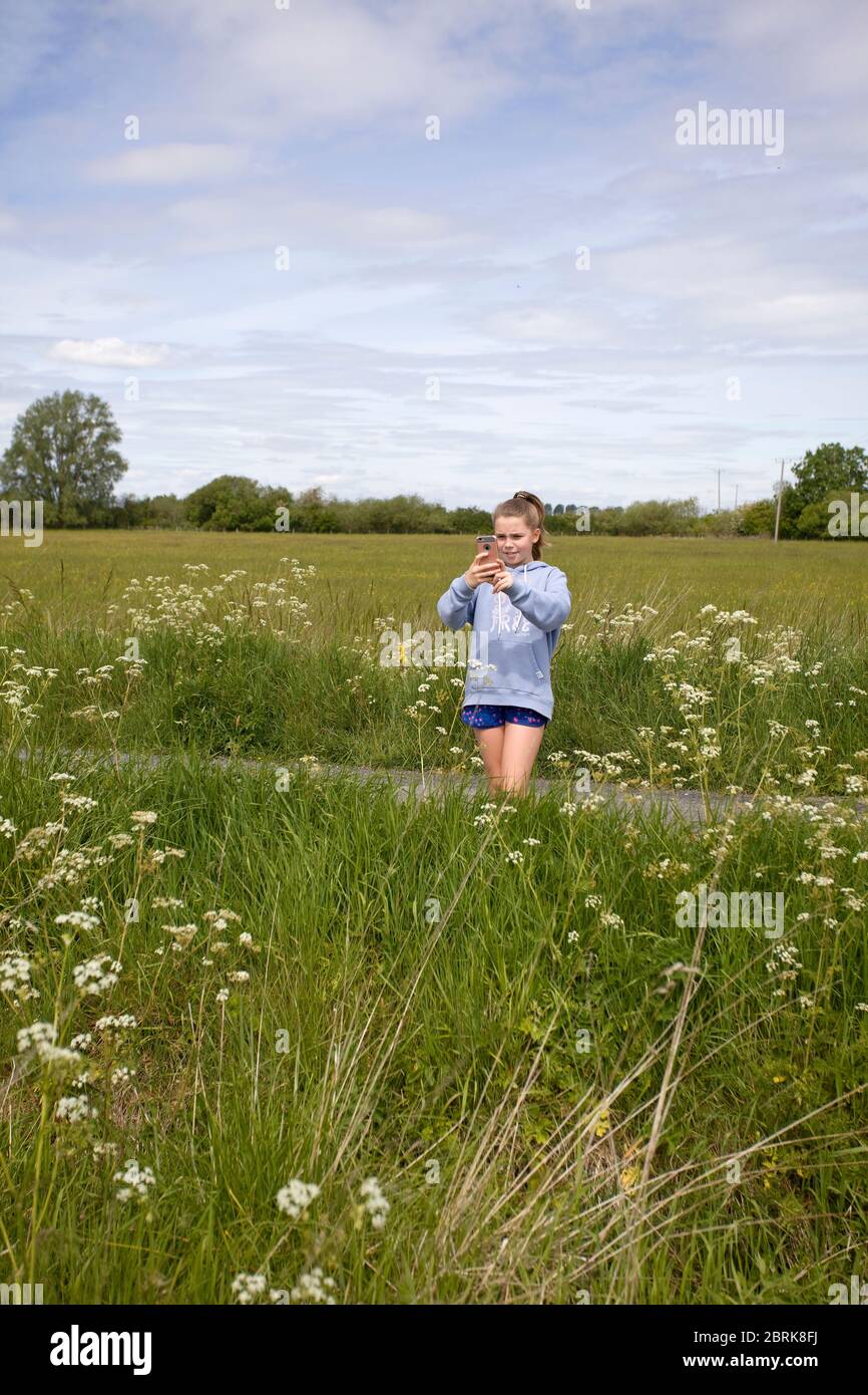 Jeune fille prenant une photo de prairie de fleurs sauvages avec son iPhone, royaume-uni Banque D'Images