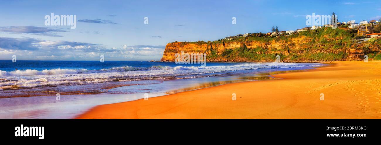 Nettoyez une large bande de sable jaune autour de la pointe de Mona Vale à la plage de Bungan, sur les plages du nord de Sydney, sous une douce lumière du matin. Panorama large. Banque D'Images