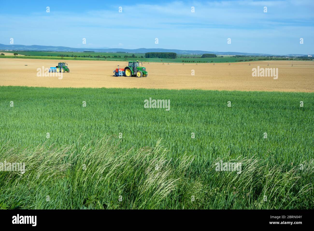 Deux tracteurs semis de récolte sur le champ de grain, ciel bleu Banque D'Images