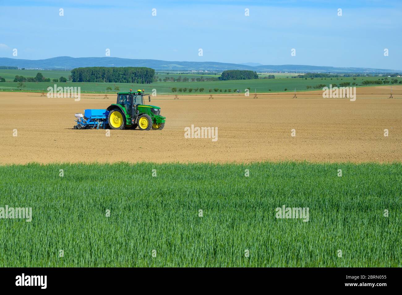Le tracteur sème les récoltes dans le champ de grain, ciel bleu Banque D'Images