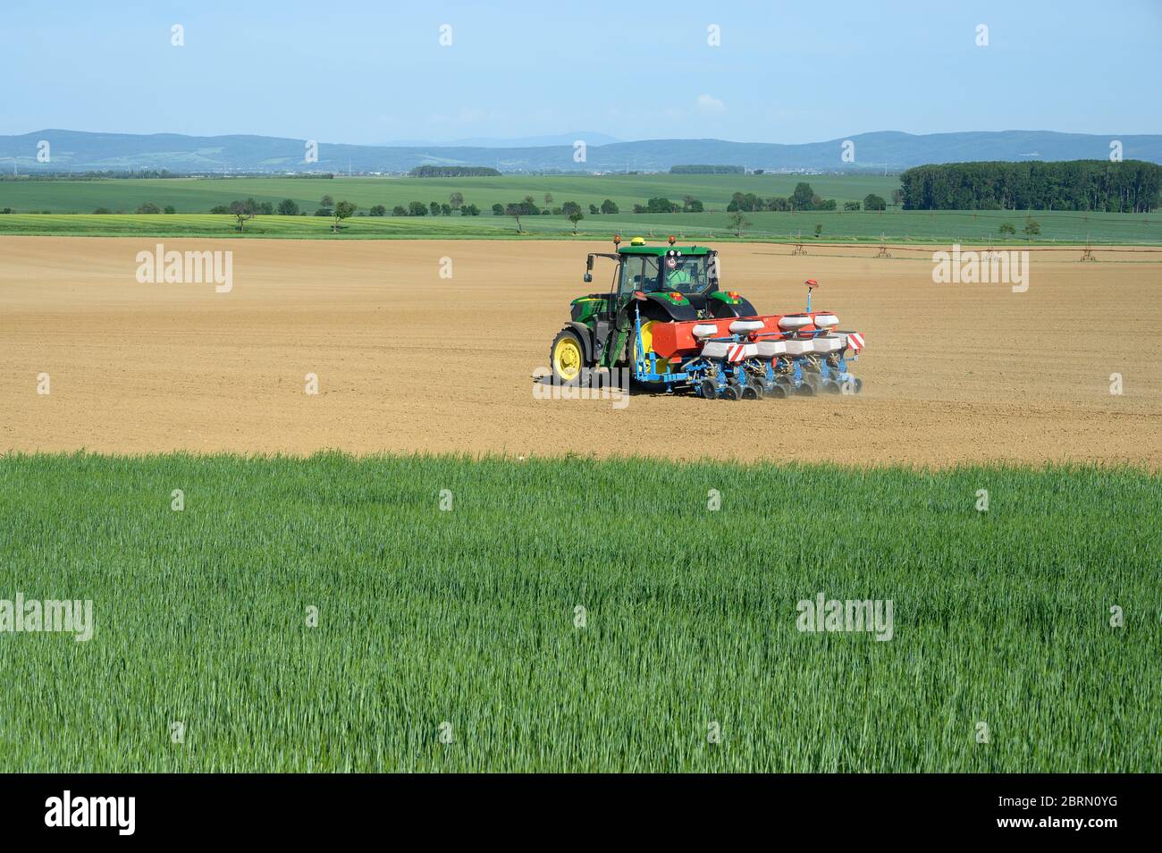 Le tracteur sème les récoltes dans le champ de grain, ciel bleu Banque D'Images