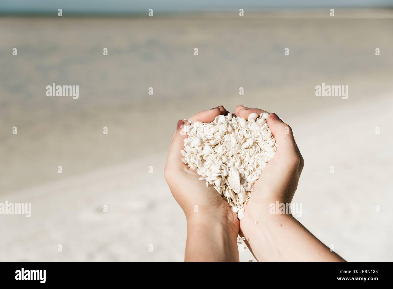 Fille touriste tenant de minuscules coquillages blancs de mer dans les deux mains. Mains pleines de coquillages sur Shell Beach, Australie occidentale. Vue rognée Banque D'Images