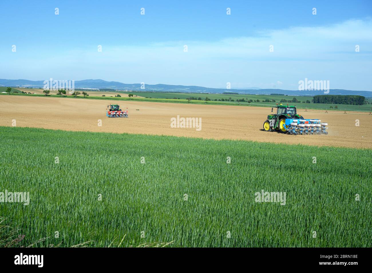 Deux tracteurs semis de récolte sur le champ de grain, ciel bleu Banque D'Images