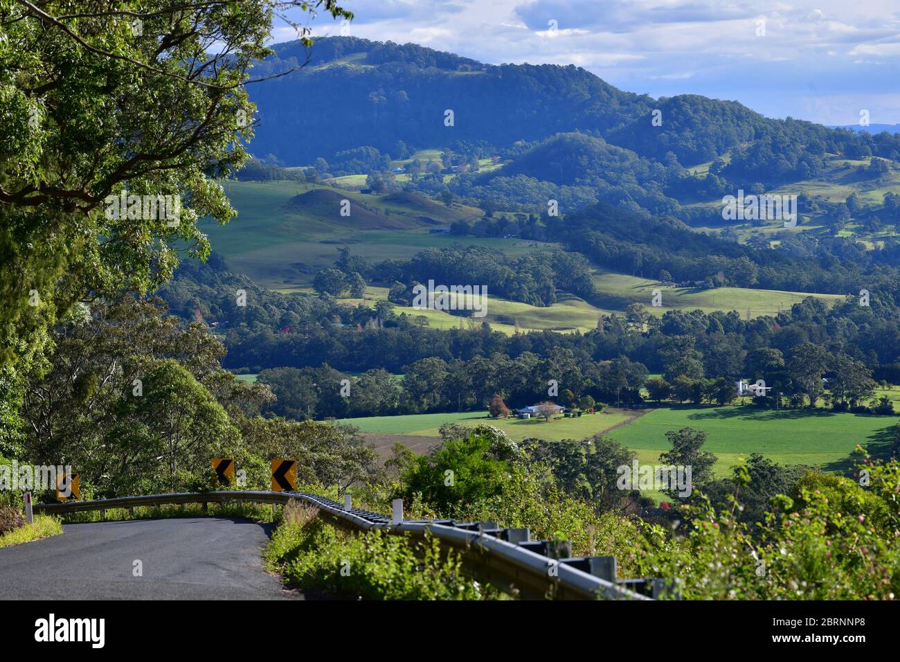 Une route descendant dans la Kangaroo Valley, Nouvelle-Galles du Sud Banque D'Images