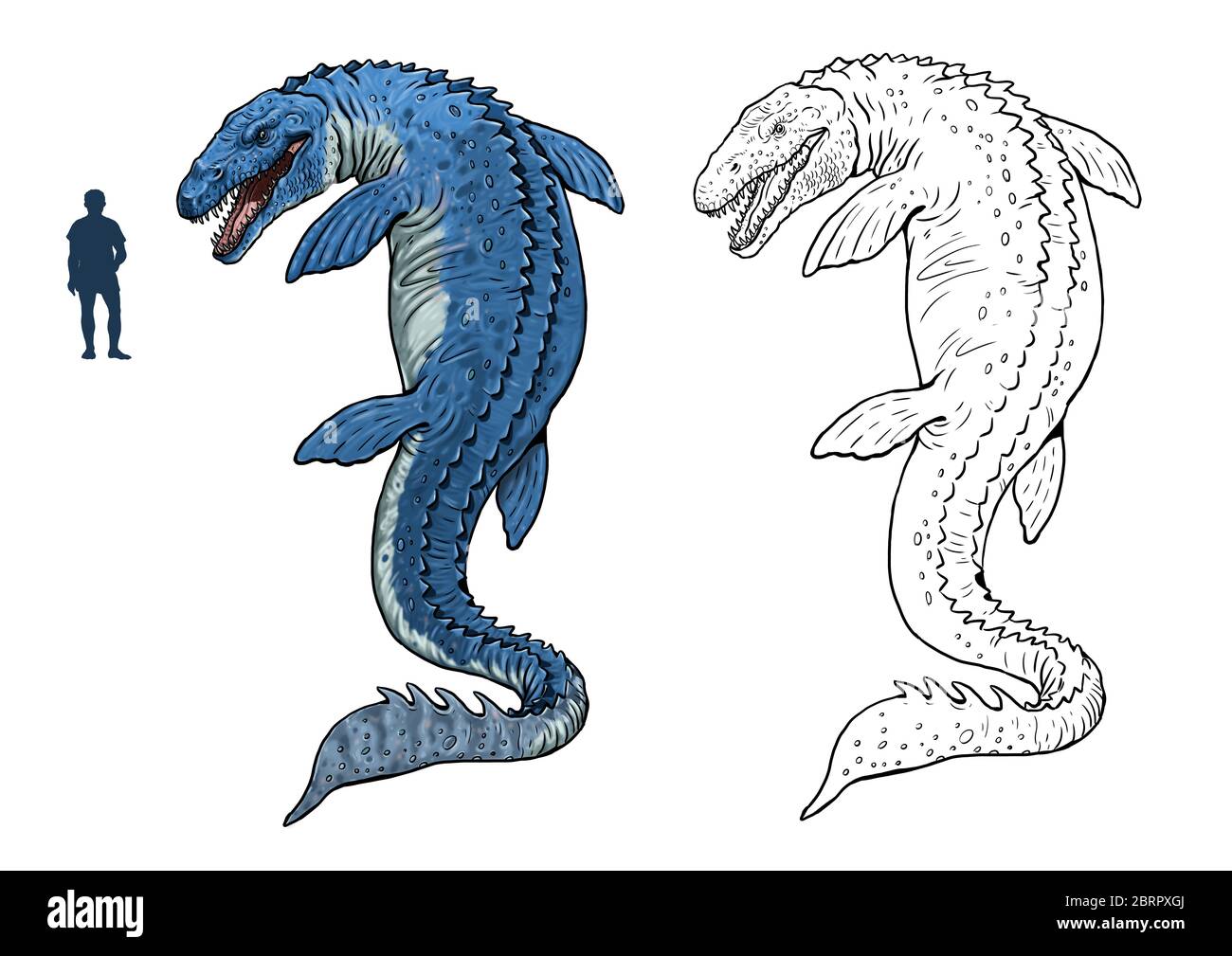 Mosasaurus comparé à l'humain. Comparaison entre dinosaure et humain. Page de coloriage Dino. Banque D'Images