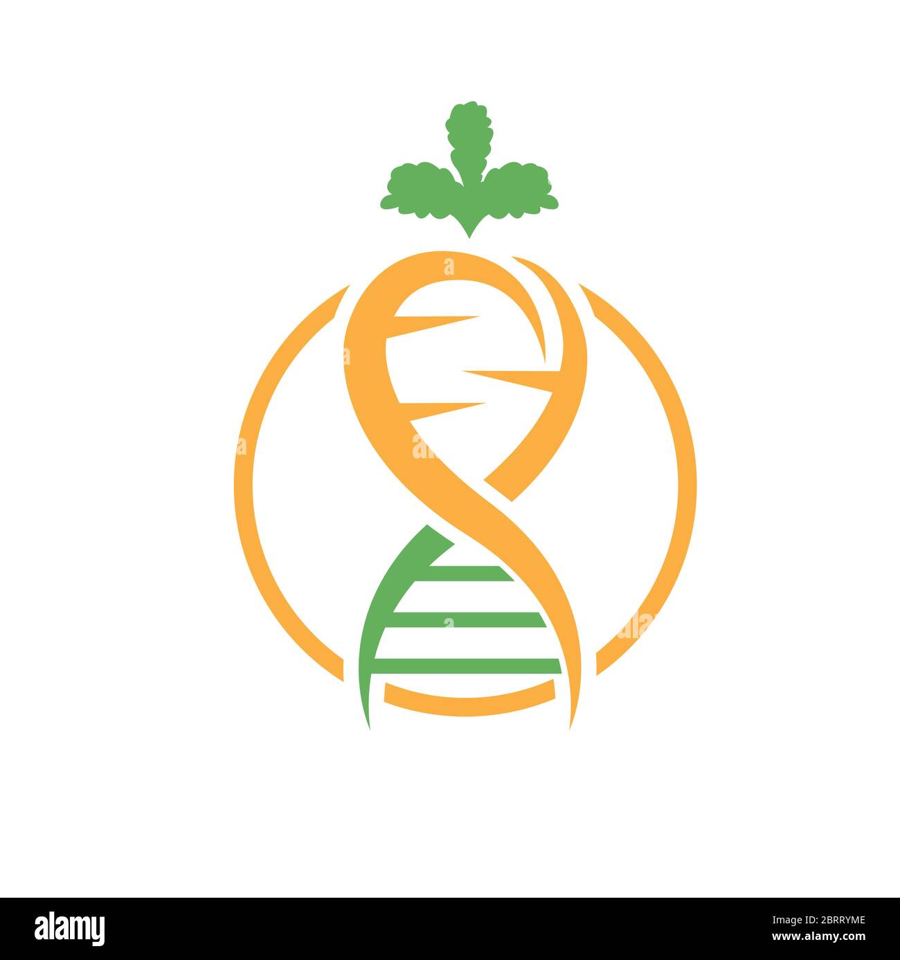 Modèle de conception du logo ADN de légumes Illustration de Vecteur