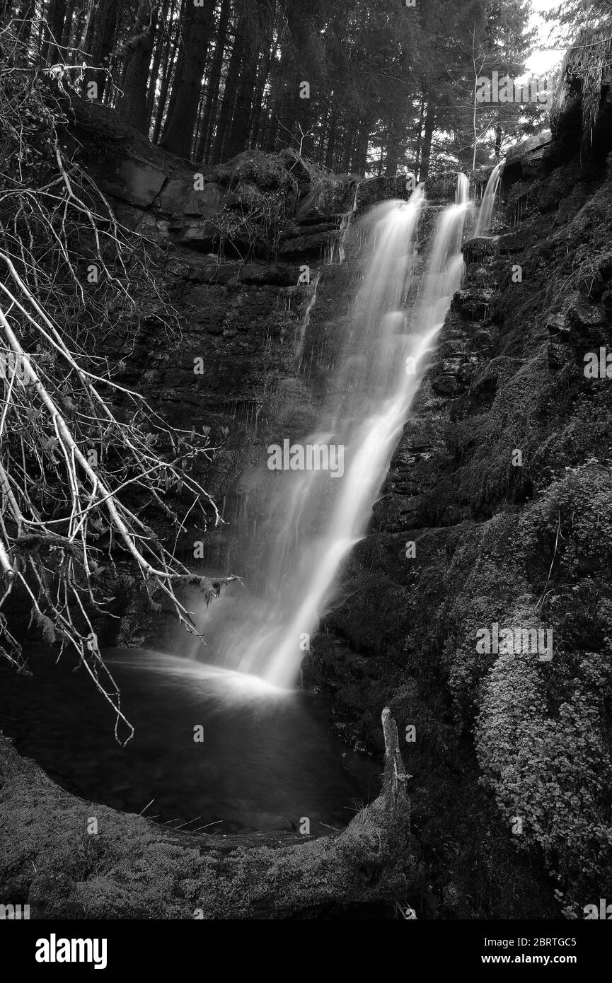 La troisième cascade sur le Nant Bwrefwr entre le parking et l'Afon Caerfanell. Banque D'Images