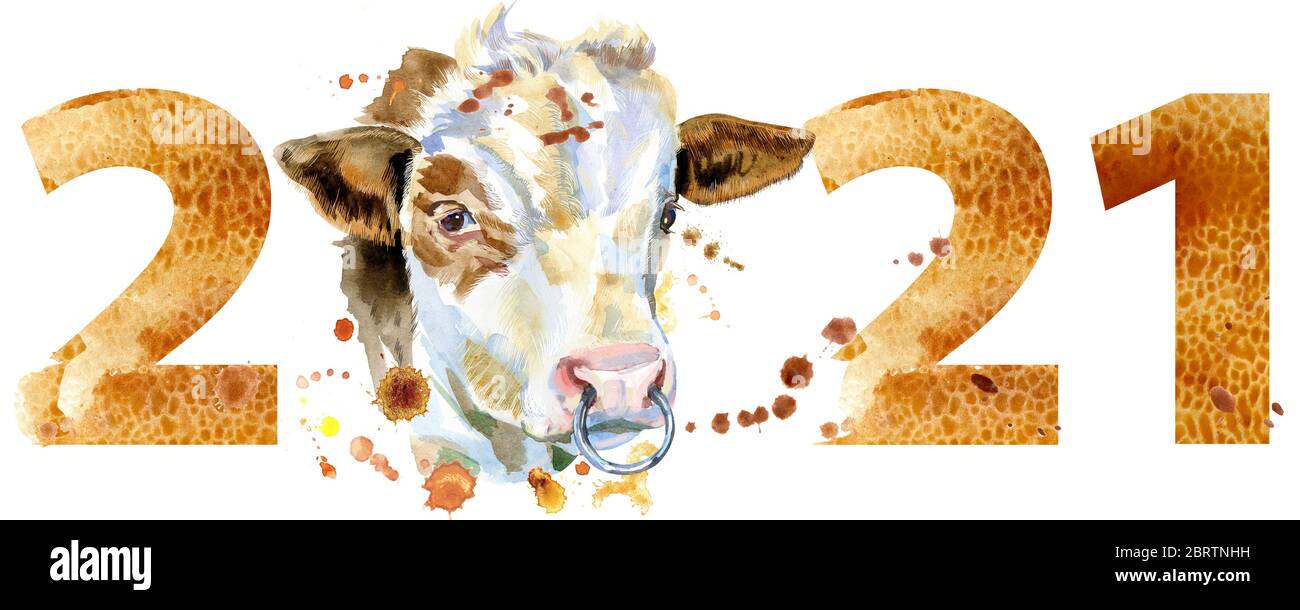 Nouvel an 2021 aquarelle avec une tête de taureau isolée sur fond blanc Banque D'Images