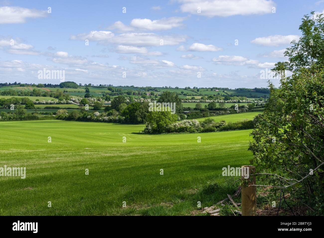 Vue sur la campagne au printemps depuis le village de Great Brington, Northamptonshire, Royaume-Uni Banque D'Images
