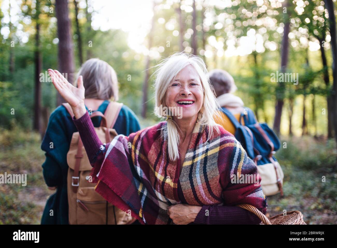 Des femmes âgées se promou en plein air en forêt. Banque D'Images