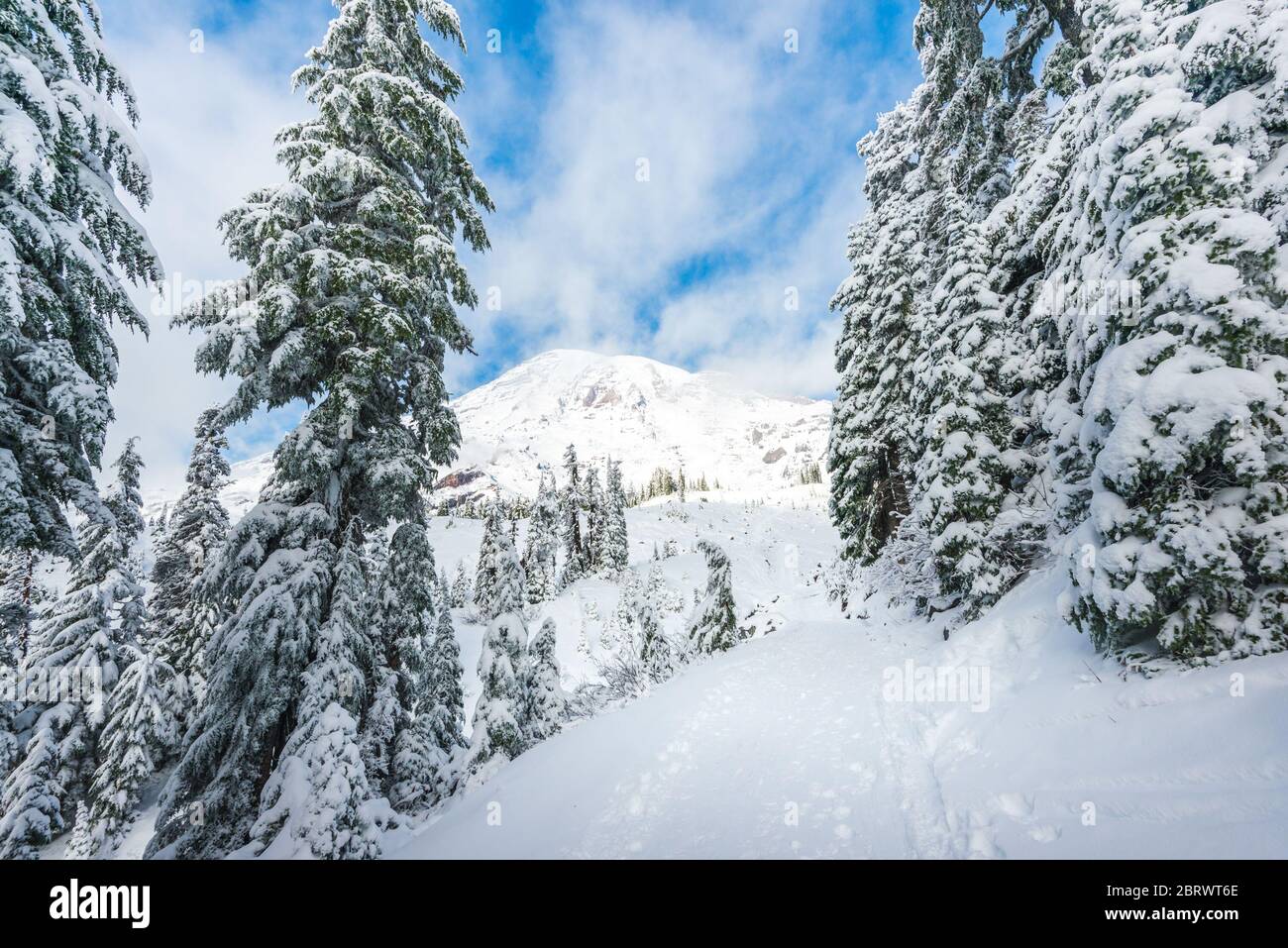 Un sentier couvert de neige dans le paradis, vue panoramique sur le parc national de mt Rainier, Washington, USA. Banque D'Images