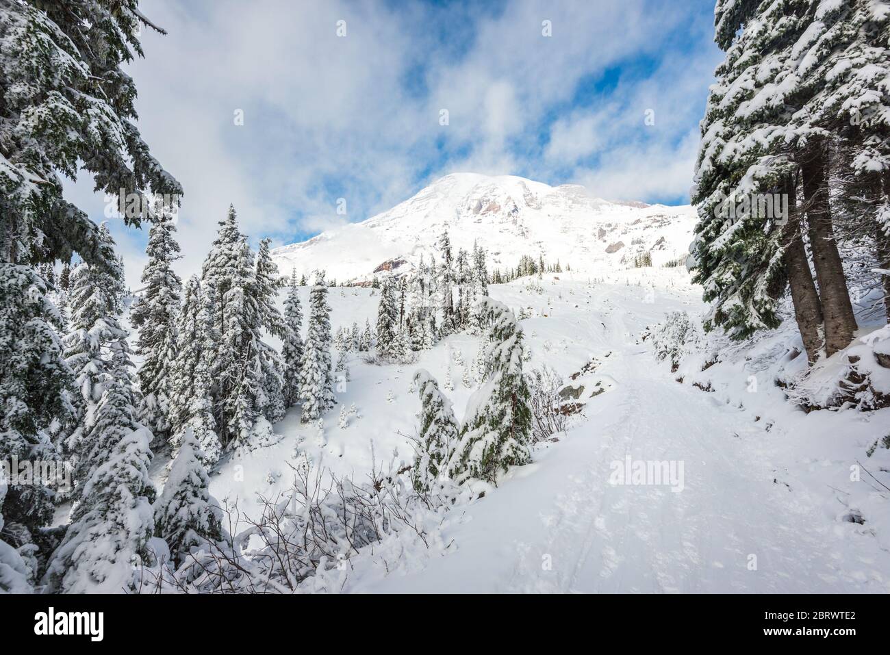 Un sentier couvert de neige dans le paradis, vue panoramique sur le parc national de mt Rainier, Washington, USA. Banque D'Images
