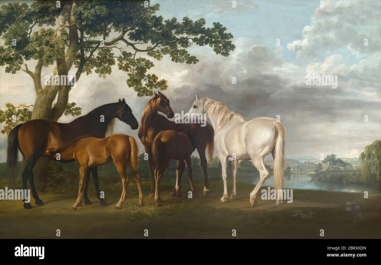 Mares et Foals dans un paysage de rivière, par George Stubbs, vers 1763-8, Banque D'Images