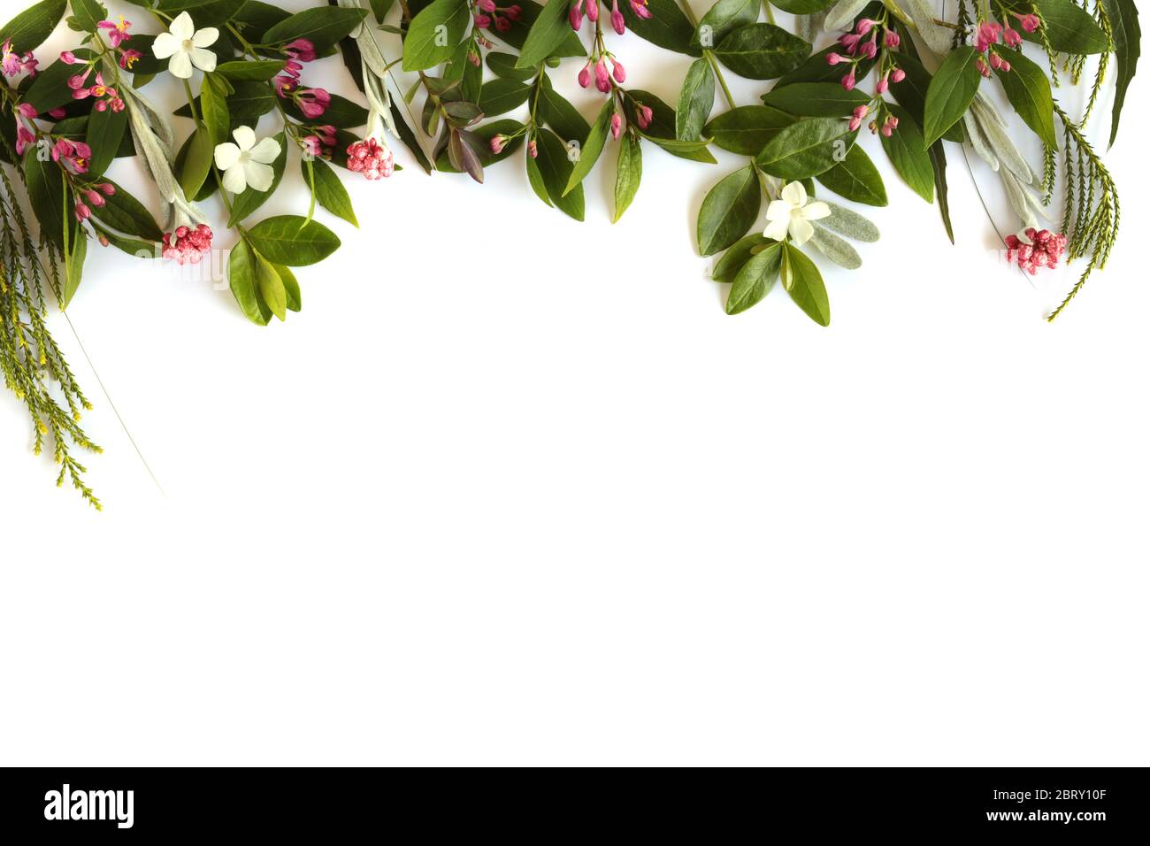 Célébration joyeux anniversaire, carte de fête des mères avec bordure de fleurs fraîches. Flat lay, vue de dessus. Concept de célébration, carte, bannière, bordure de fleurs, invitation, maquette, été, concept de printemps Banque D'Images