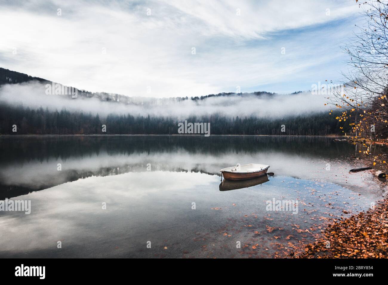 Vue sur un bateau sur le lac au brouillard moody Morning avec des feuilles au premier plan Banque D'Images