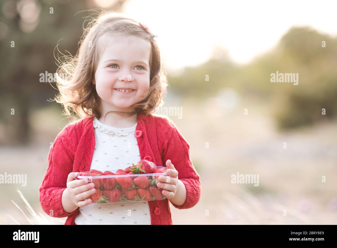 Bonne fille de 2-3 ans tenant boîte en plastique pleine de fraisier mûr frais debout dans le champ à l'extérieur de près. Vue sur l'extérieur. Enfance. Sélection Banque D'Images