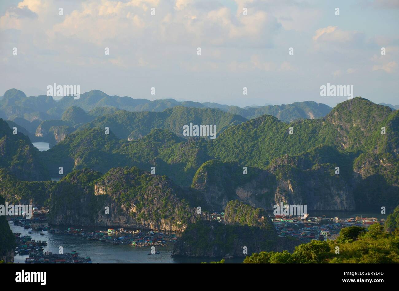 Le soleil de l'après-midi projette des ombres sur la côte de la baie de Halong, au Vietnam Banque D'Images