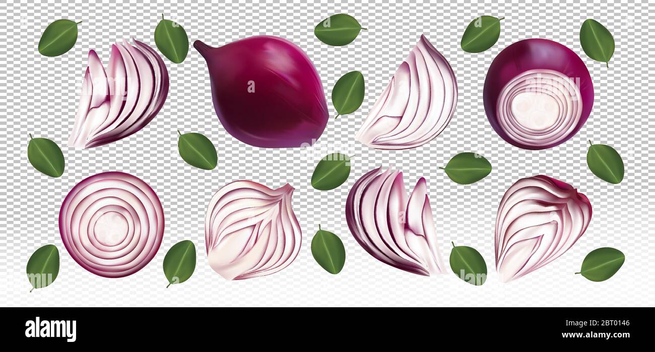 Ensemble d'oignons rouges avec feuilles sur fond transparent. Les oignons rouges volants sont entiers et coupés en deux. Oignon rouge 3D réaliste coupé en tranches, demi, morceau. Produit biologique. Illustration vectorielle. Illustration de Vecteur