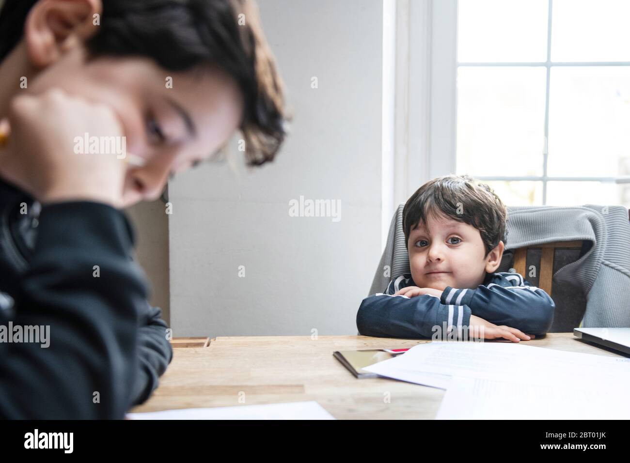 Deux garçons aux cheveux bruns assis à la table à la maison, faisant leurs devoirs. Banque D'Images