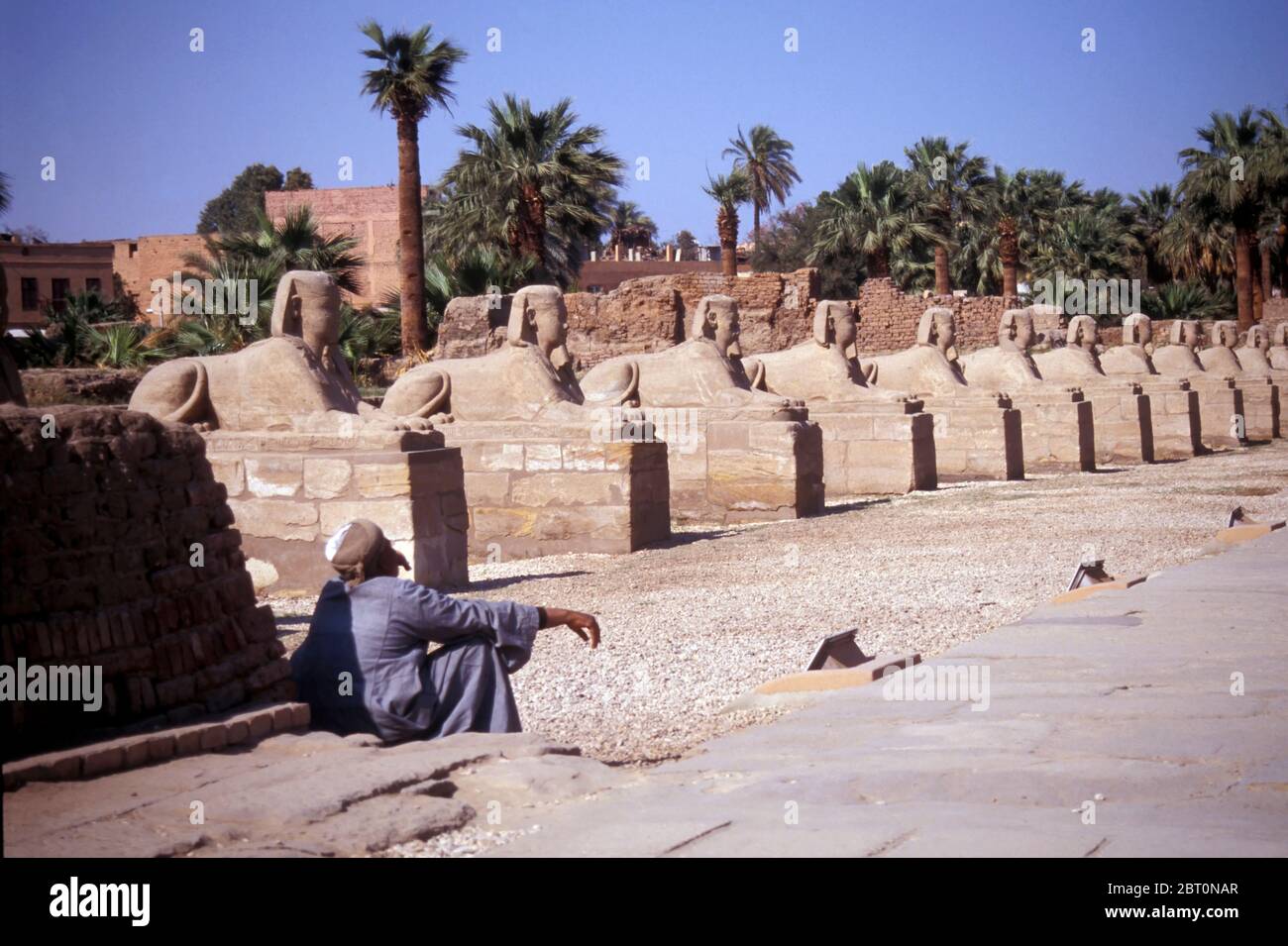 Avenue des Sphinx, également connue sous le nom de route des festivités du Roi, à Louxor, en Égypte, en Afrique du Nord Banque D'Images