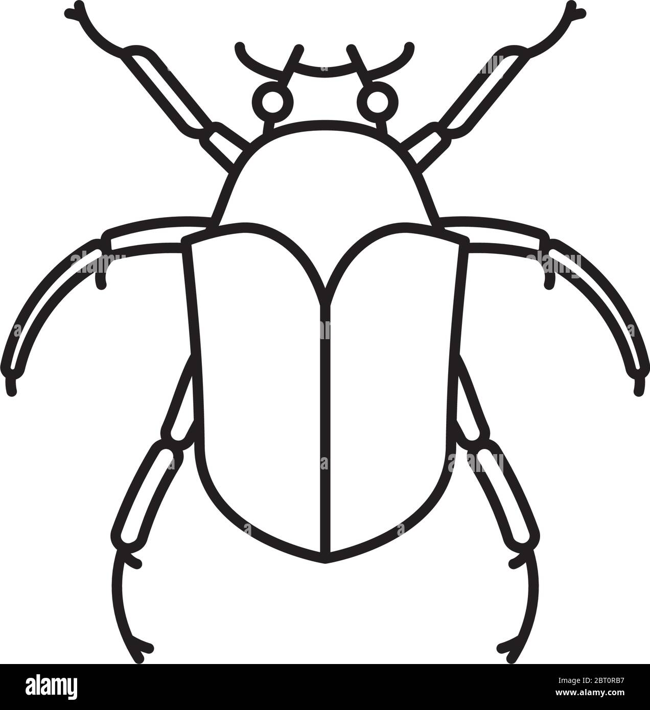 Icône de ligne vectorielle JuneBug ou June Beetle. Symbole de contour