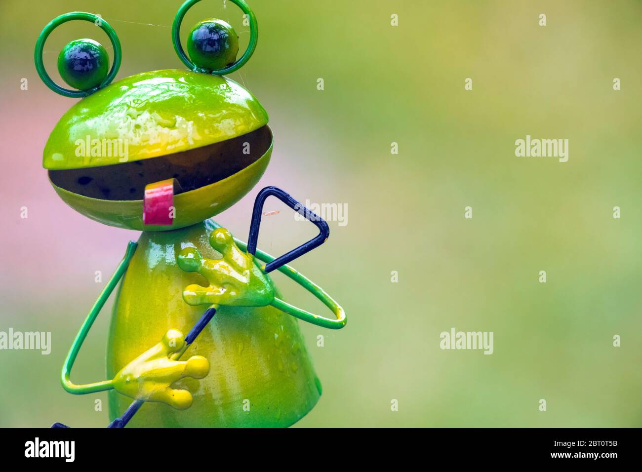 Gros Plan Sur Le Visage De Grenouille Drole Dans Le Jardin Photo Stock Alamy