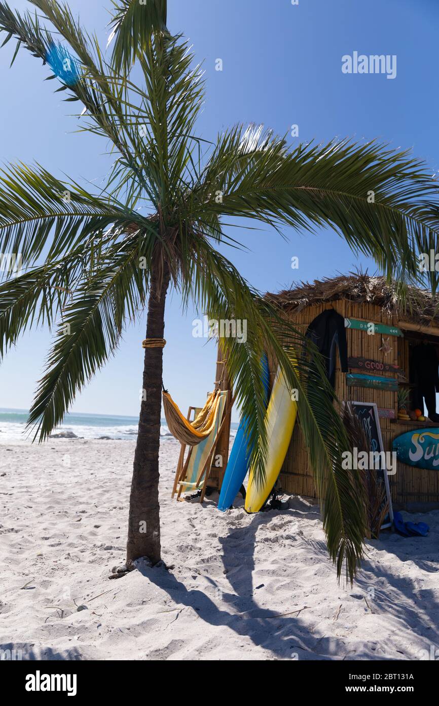 Vue magnifique sur une plage avec un palmier et une boutique de surf Banque D'Images