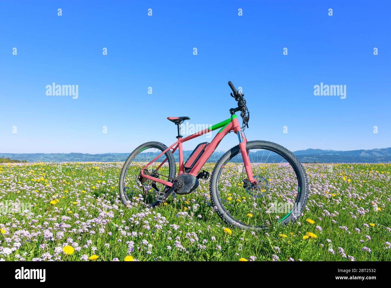 Vélo dans un pré de printemps coloré avec des pissenlits jaunes et des fleurs de coucou blanches. Fond bleu ciel Banque D'Images