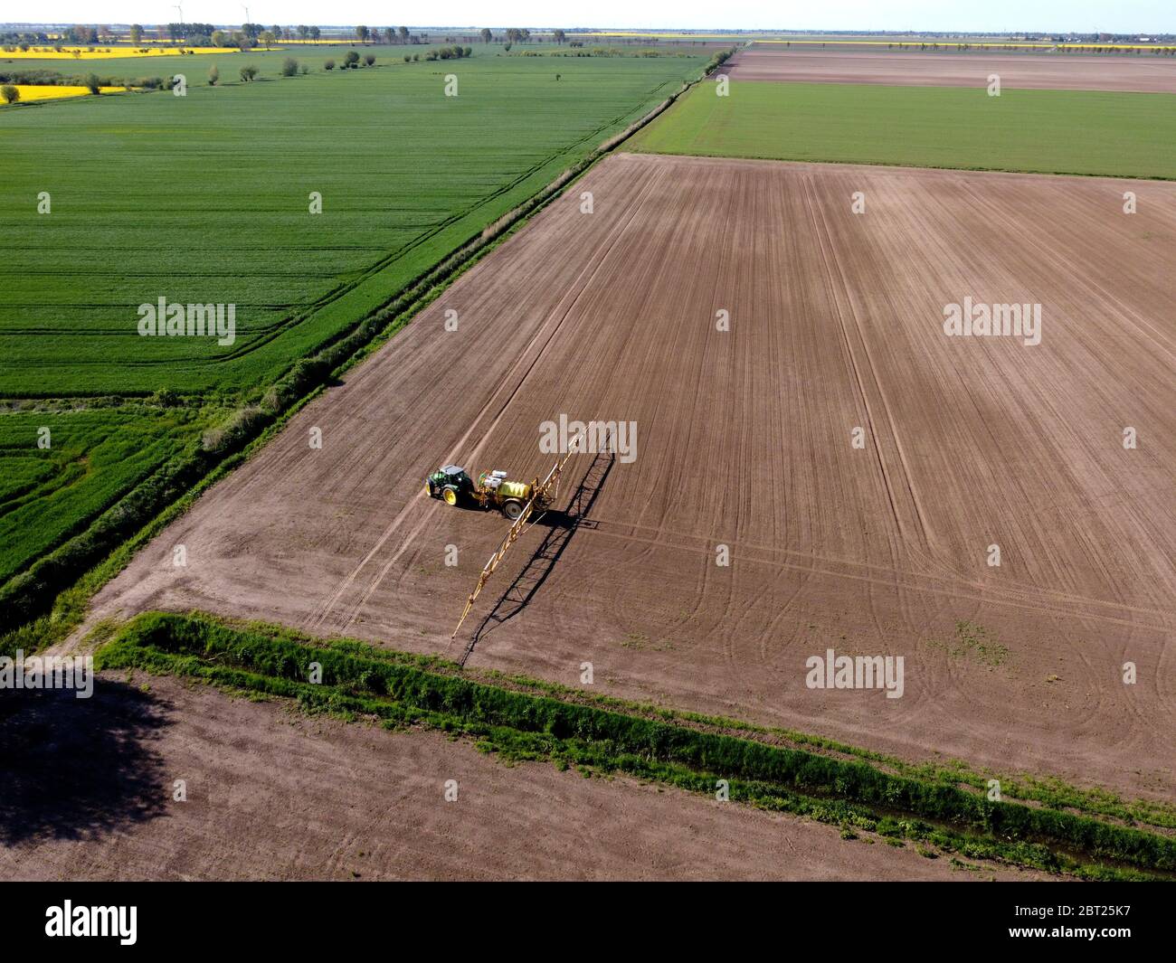 Tracteur avec pulvérisateur travaillant dans les champs, Zulawy Wislane, Pologne Banque D'Images