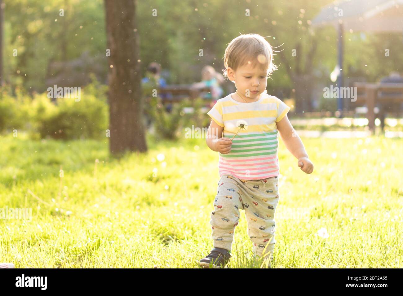 Concept d'enfance, de nature, d'été, de parcs et d'extérieur - portrait d'un petit garçon aux cheveux blonds mignon en t-shirt rayé multicolore avec pissenlit Banque D'Images