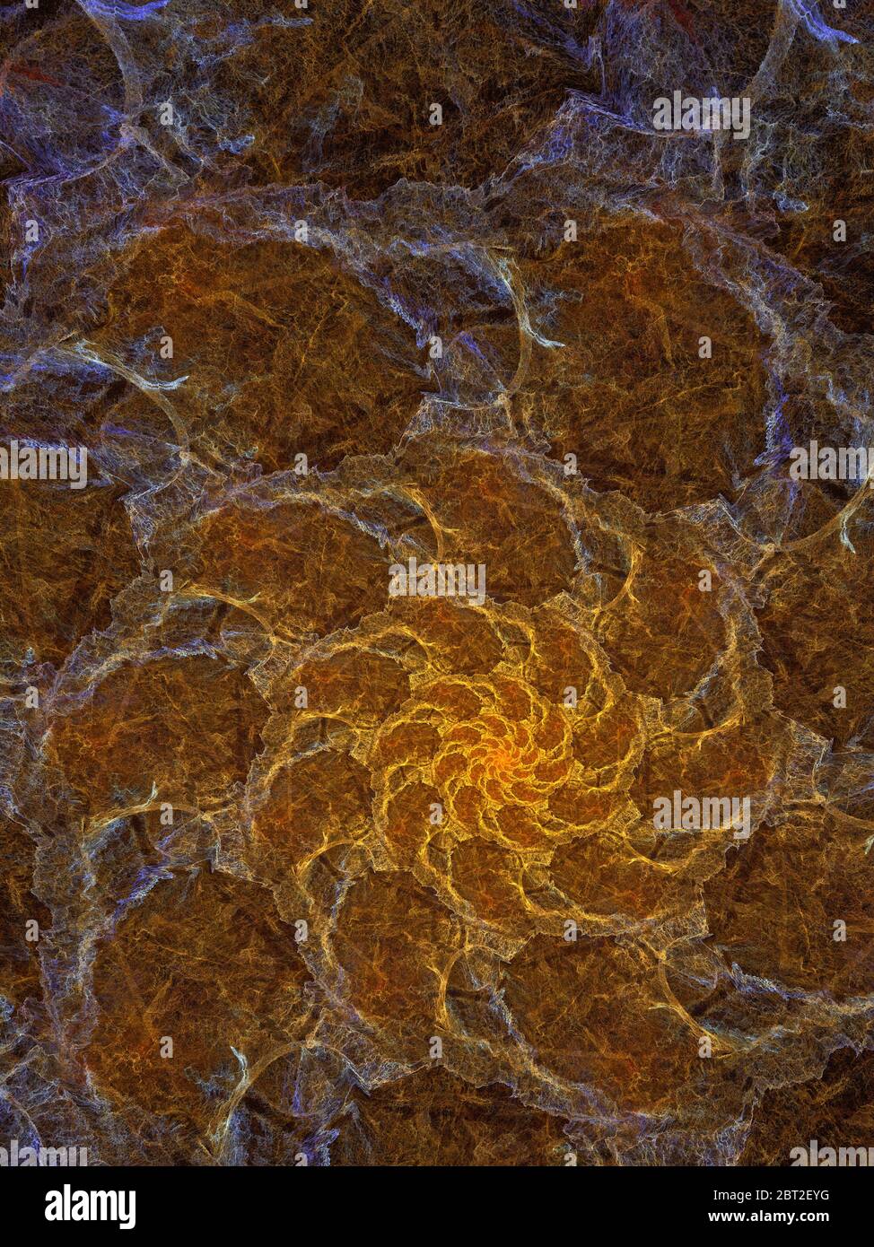 Résumé Ammonite flamme Fractal Art Banque D'Images