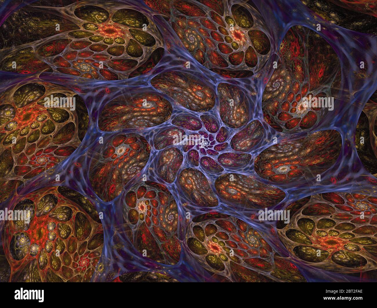 Résumé Ammonite flamme Fractal Art Banque D'Images