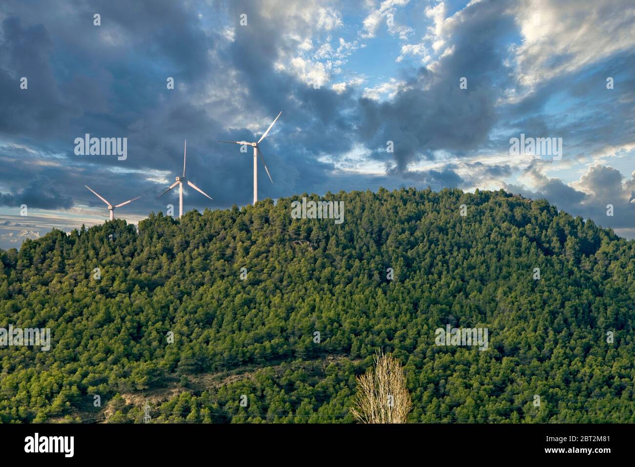 Éolienne et forêt sur une colline. Banque D'Images