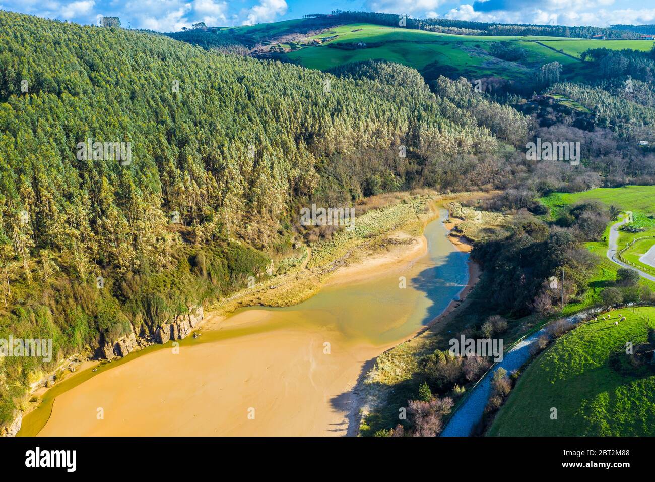 Vue aérienne sur la forêt d'eucalyptus et la plage. Banque D'Images