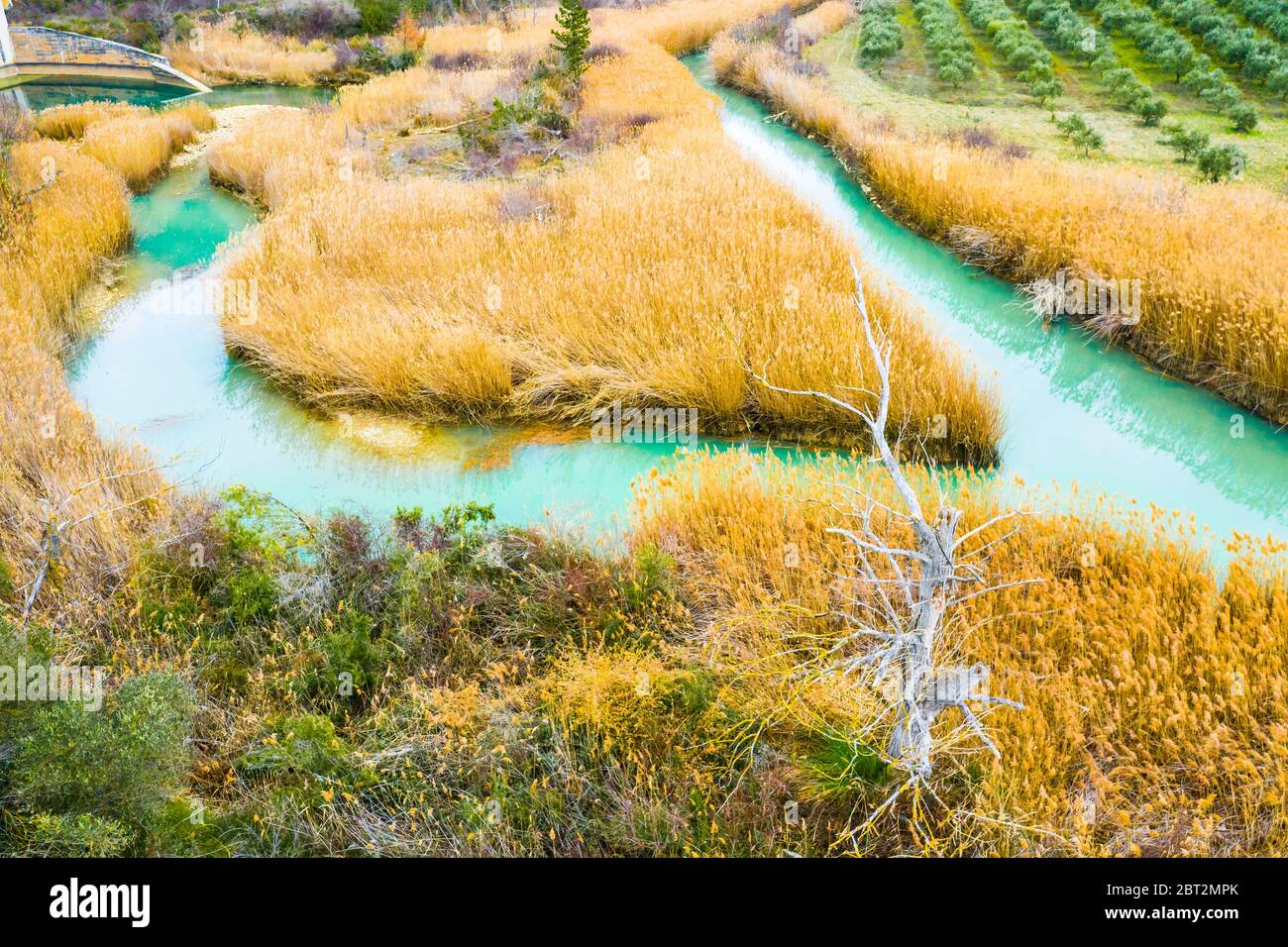 Vue aérienne sur la rivière et le lit reedbed. Banque D'Images