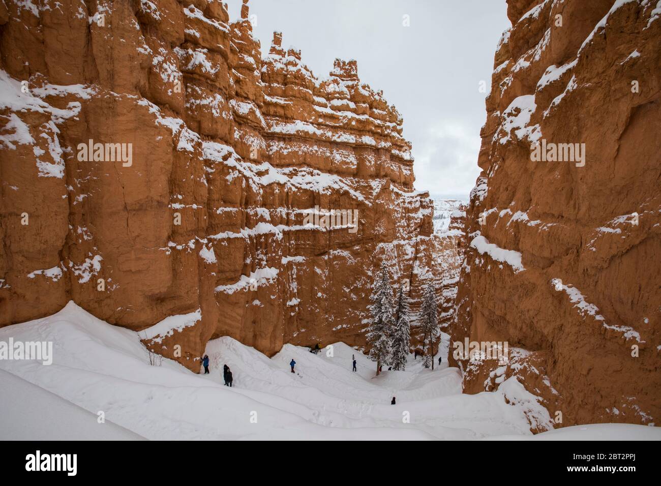 L'hiver dans le Parc National de Bryce Canyon, Utah, USA Banque D'Images