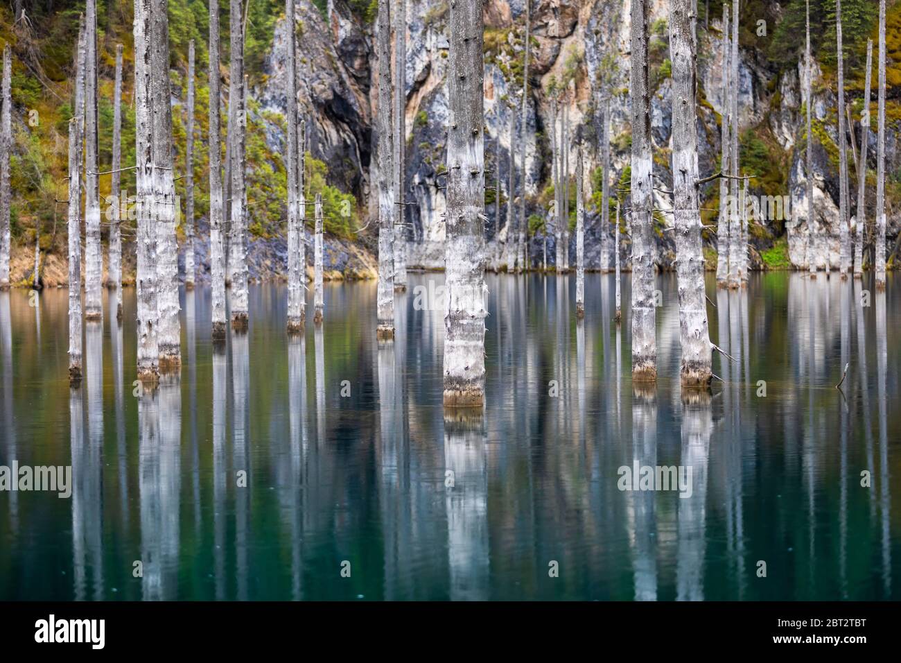 Le lac de Kaindy a inondé la forêt de pins Banque D'Images