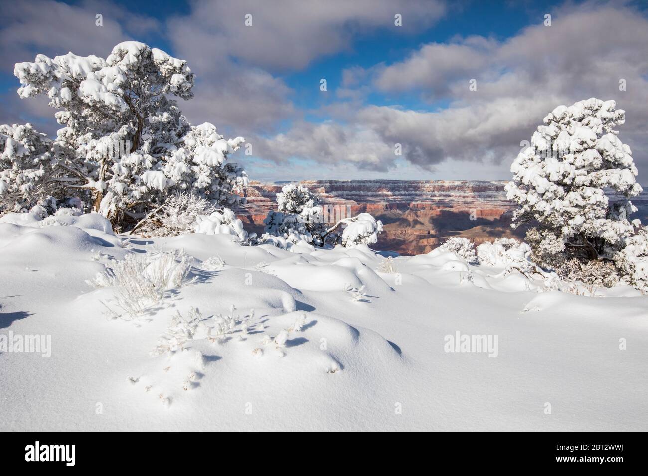 Le Parc National du Grand Canyon en hiver, Arizona, USA Banque D'Images